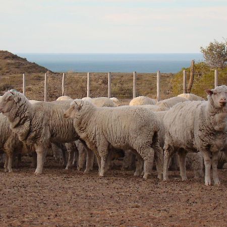 La Antonieta Estancia De Mar Dos Pozos Eksteriør billede
