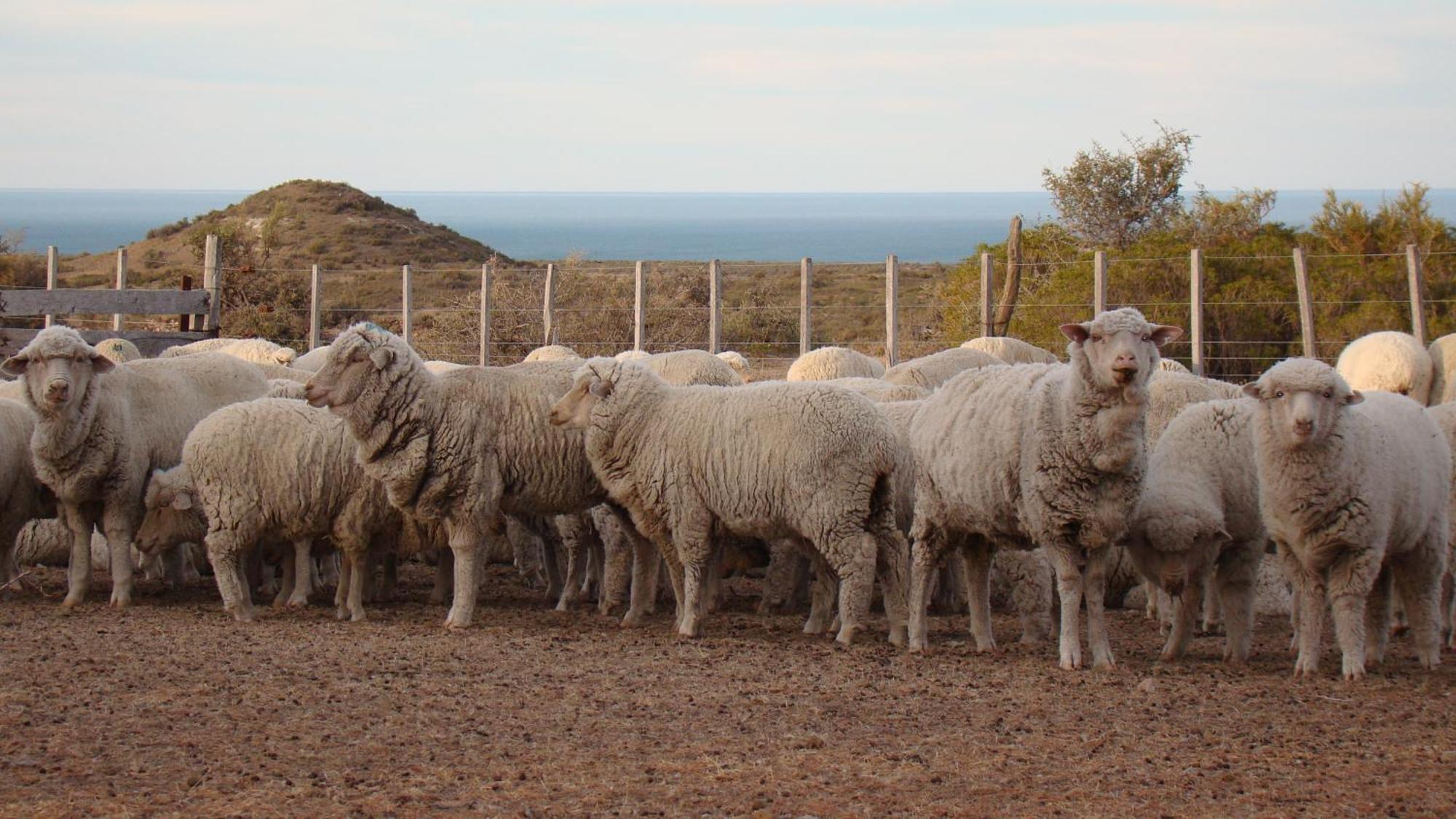 La Antonieta Estancia De Mar Dos Pozos Eksteriør billede