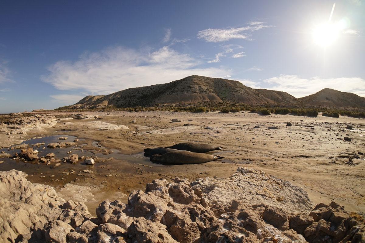 La Antonieta Estancia De Mar Dos Pozos Eksteriør billede