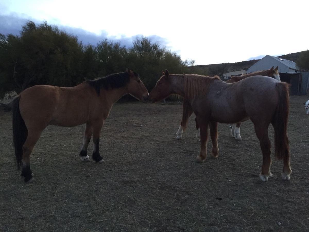 La Antonieta Estancia De Mar Dos Pozos Eksteriør billede